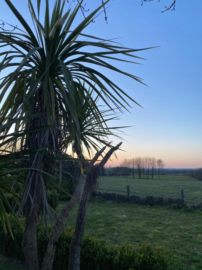 Maisonbel, Gite Convivial Bretagne Vannes Sarzeau 15 Personnes Surzur 외부 사진